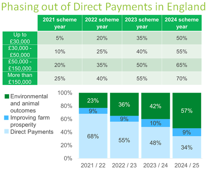 Phasing out of Direct Payments in England